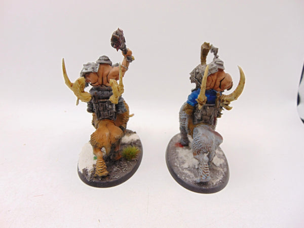 Mournfang Cavalry Pack