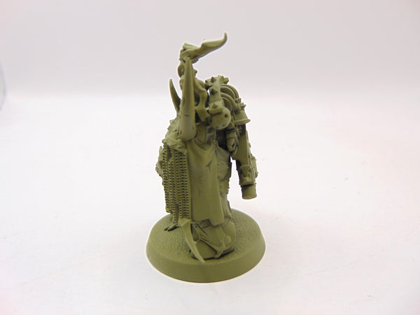 Plague Marine Champion