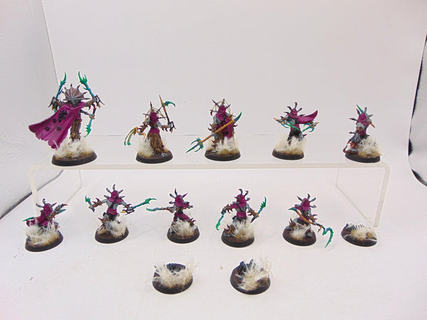 Tarantulos Brood
