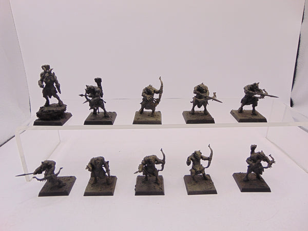 Ungor Raiders