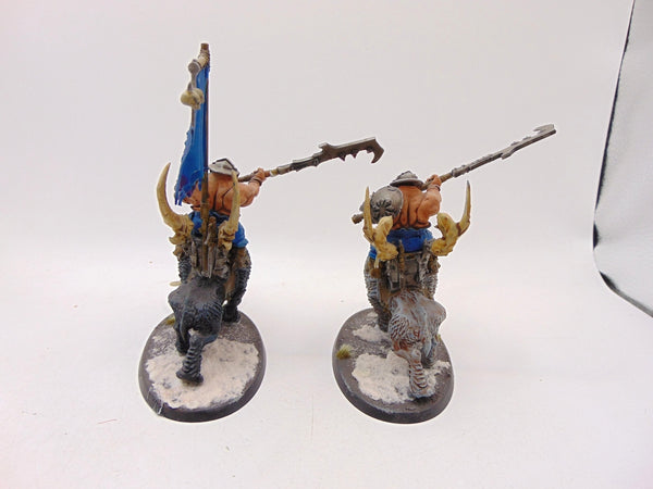 Mournfang Cavalry Pack