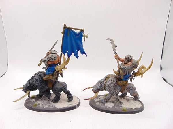 Mournfang Cavalry Pack