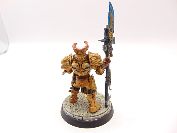 Shield Captain Valerian