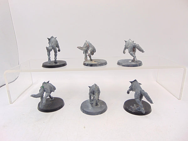Fenrisian Wolves