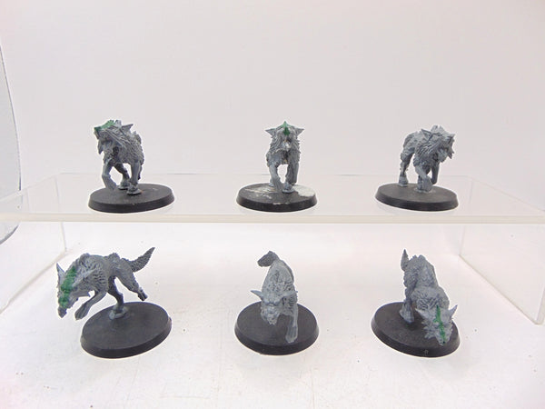 Fenrisian Wolves
