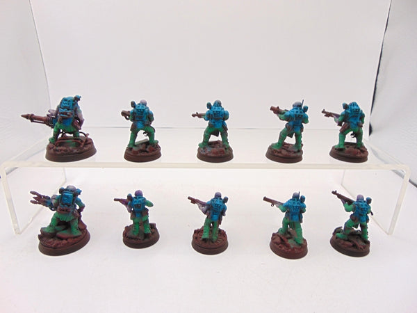 Neophyte Hybrids
