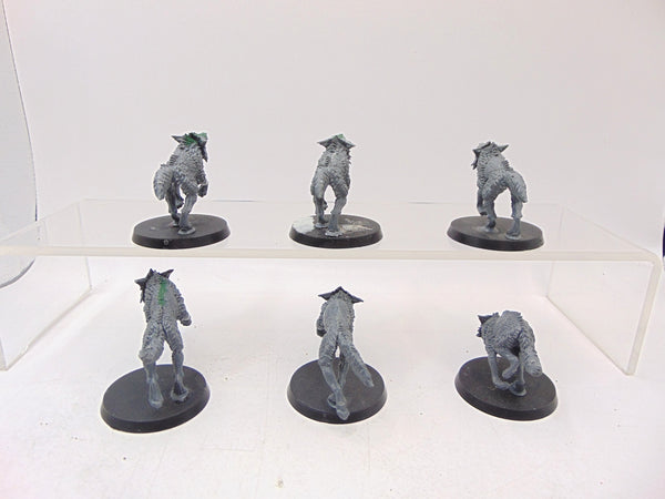 Fenrisian Wolves