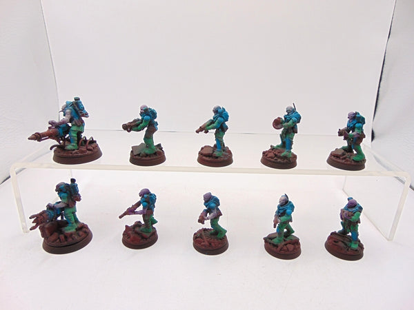 Neophyte Hybrids