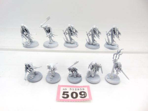 Chainrasp Horde