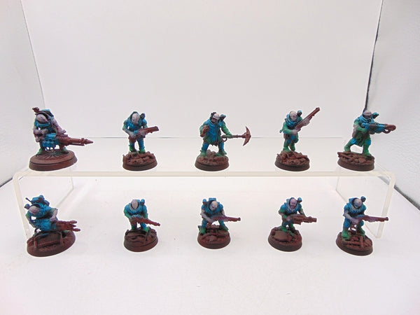 Neophyte Hybrids