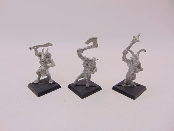 Beastmen / Gor