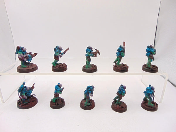 Neophyte Hybrids