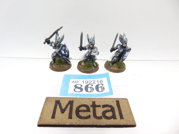 Swan Knights of Dol Amroth
