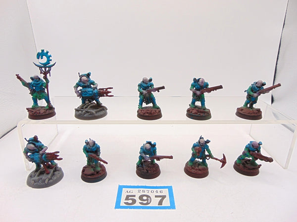 Neophyte Hybrids