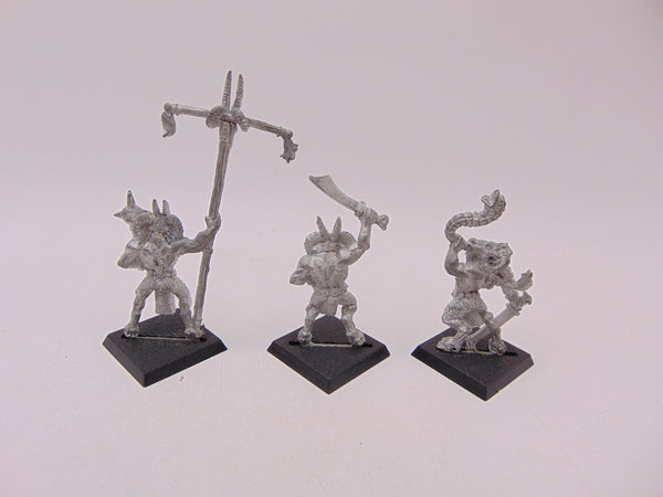 Beastmen / Gor with Standard and Musician