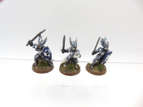 Swan Knights of Dol Amroth