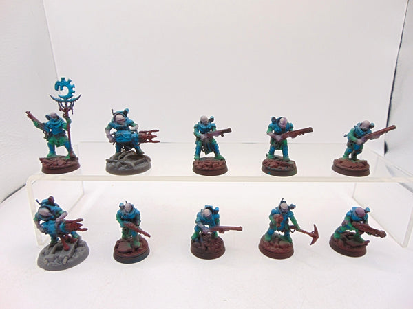 Neophyte Hybrids