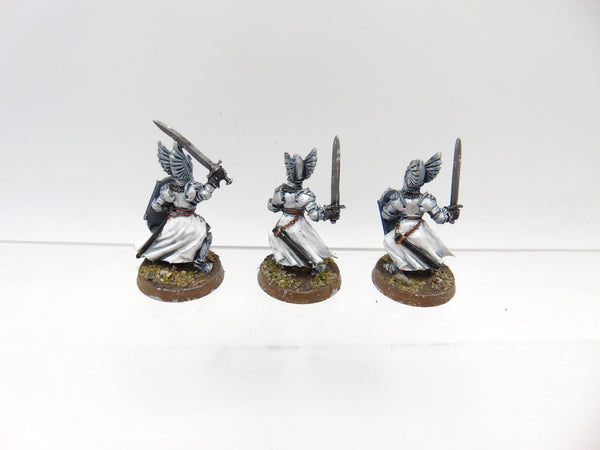 Swan Knights of Dol Amroth