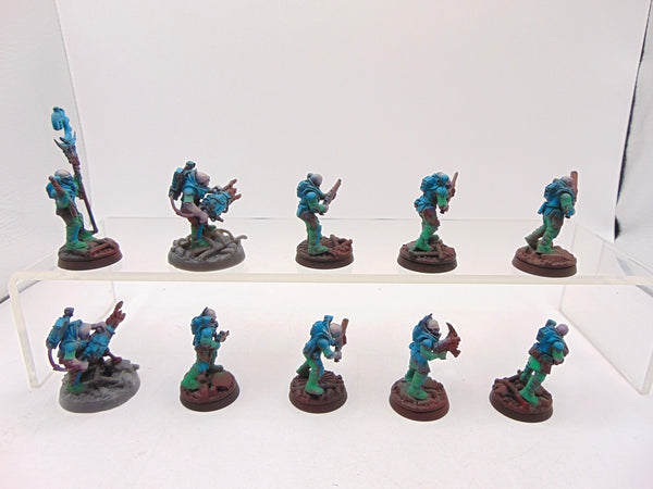 Neophyte Hybrids