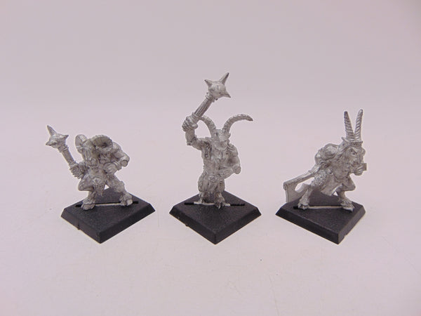 Beastmen / Gor