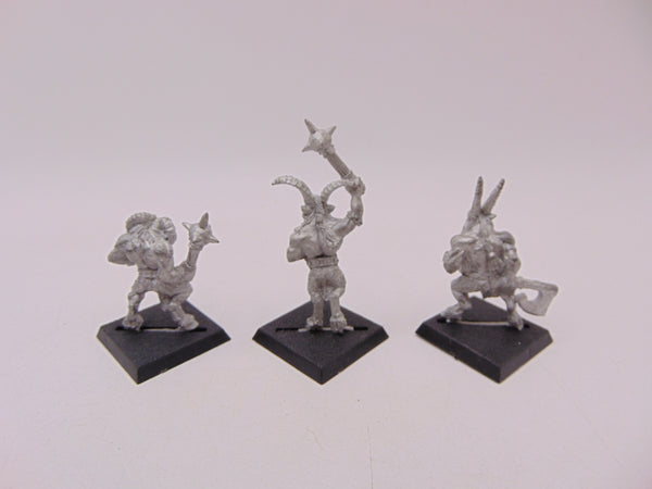 Beastmen / Gor