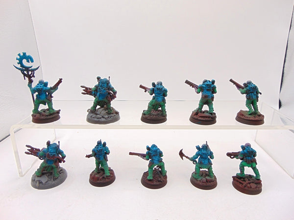 Neophyte Hybrids