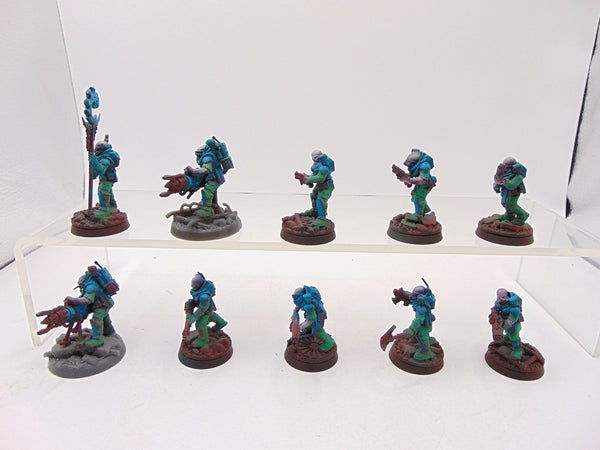 Neophyte Hybrids