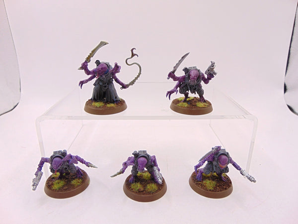 Acolyte Hybrids