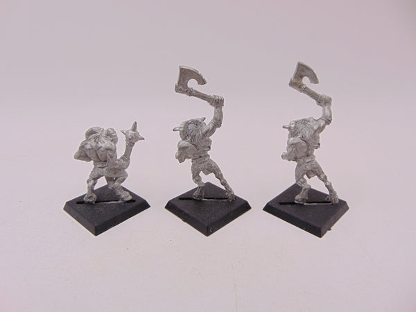 Beastmen / Gor