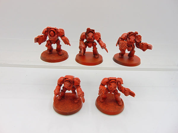 Terminator Assault Squad