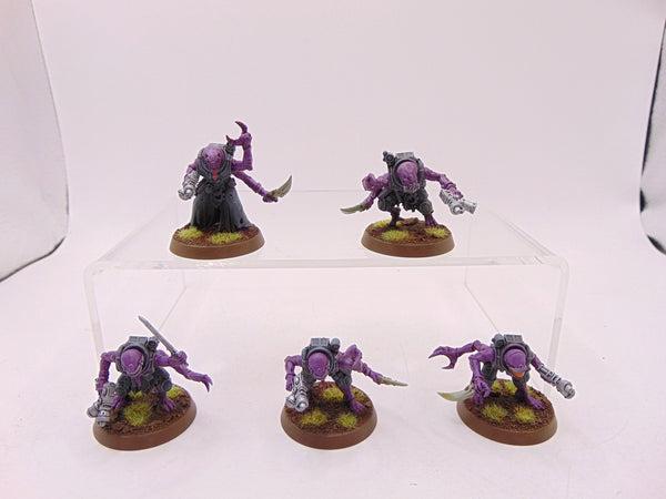 Acolyte Hybrids