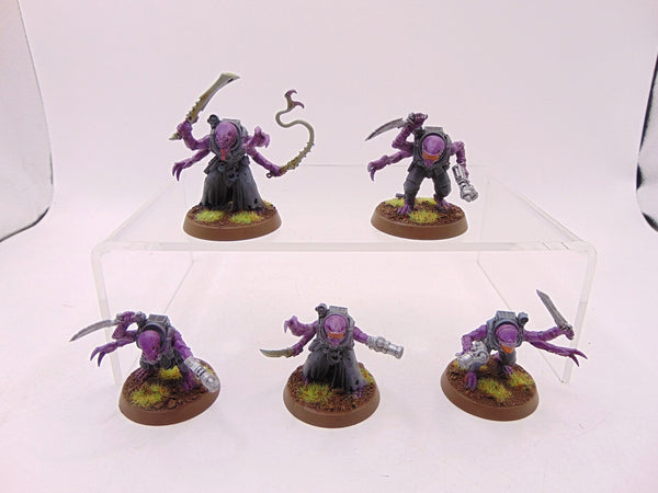 Acolyte Hybrids