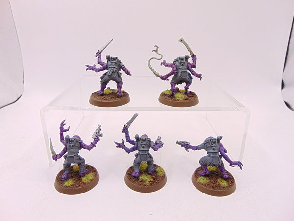 Acolyte Hybrids