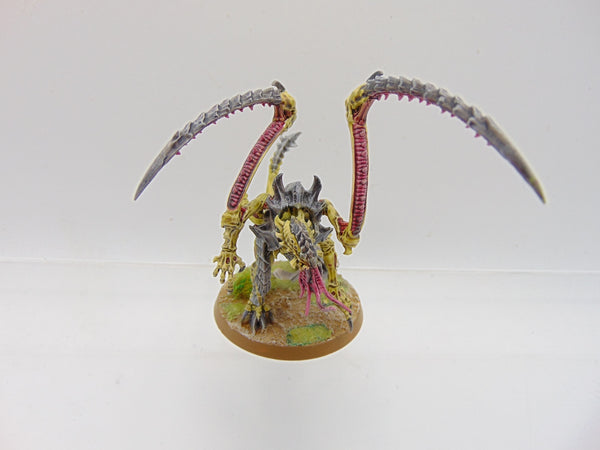 Lictor