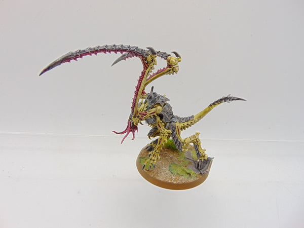 Lictor