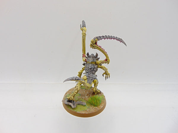 Lictor