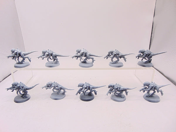 Termagants