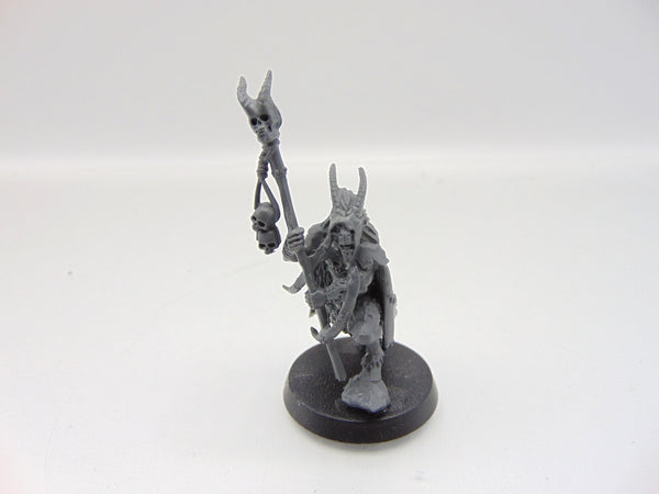 Great Bray Shaman