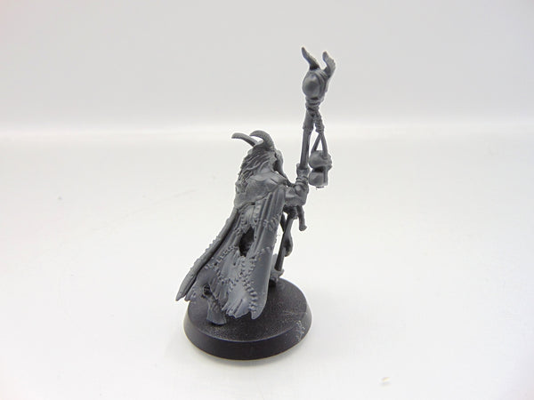 Great Bray Shaman