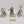 Dragon Ogres