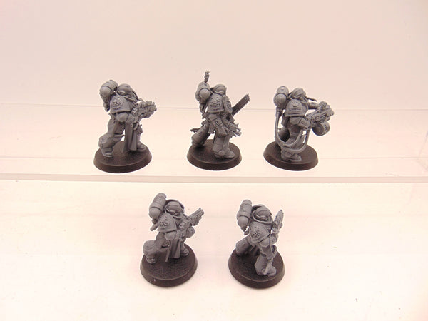Sternguard Veterans