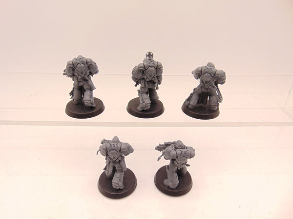 Sternguard Veterans