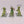 Dragon Ogres