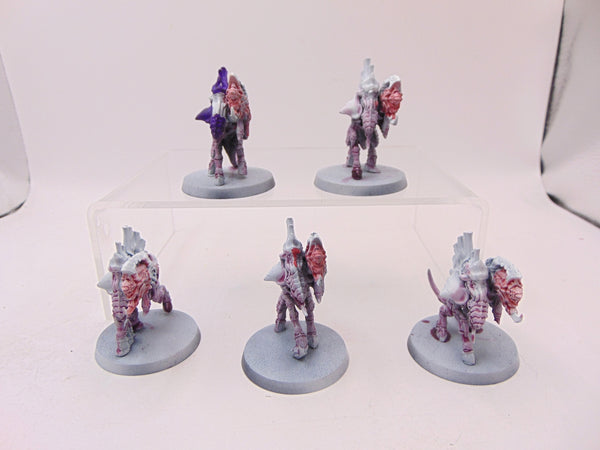 Barbgaunts