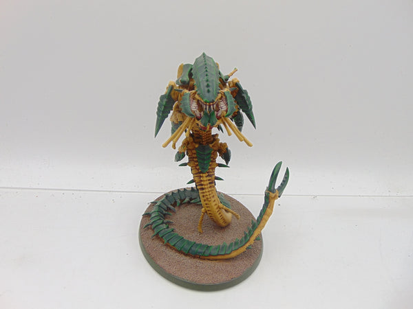 Trygon