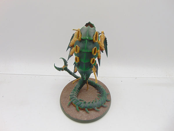 Trygon