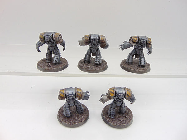 Cataphractii Terminator Squad