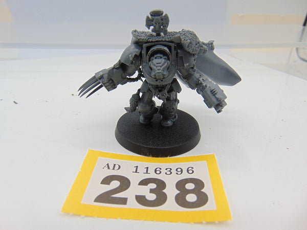 Wolf Guard Battle Leader in Terminator Armour