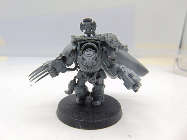 Wolf Guard Battle Leader in Terminator Armour