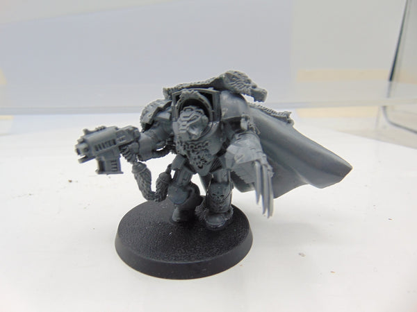 Wolf Guard Battle Leader in Terminator Armour